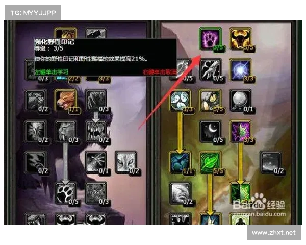 魔兽TBC奶德生活技能选择指南